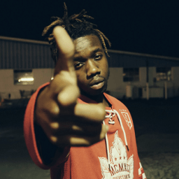 Farma Wes – The ILLUMINATIONAL (Pla†inum)