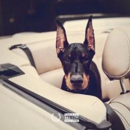 Vinny Cha$e – “Go Get It”